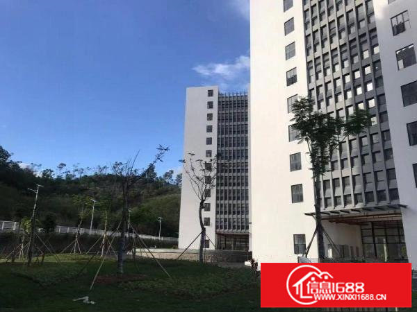 坪地低碳城新分出楼上750平米独立货梯及洗手间采光好