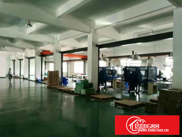 出租惠阳新墟一楼500平方水电齐全