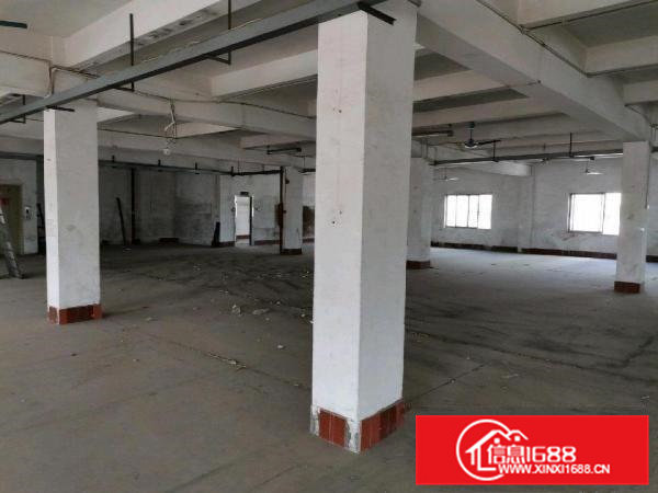 原房东，实际面积出租，价格实惠