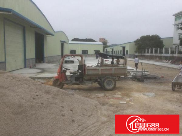 新圩塘口全新钢结构厂房招租