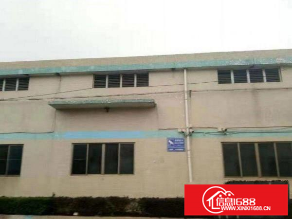 惠州市镇隆新出单一层1300平方厂房招租可分租