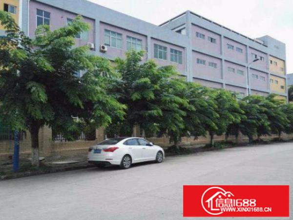 龙岗原房东3吨电梯厂房出租1500平3000平实际面积