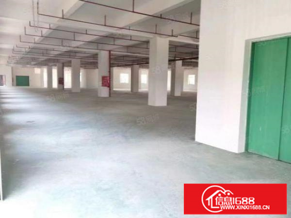 形象新!近广州中大北滘龙江勒流,10000方,有喷淋,可布匹