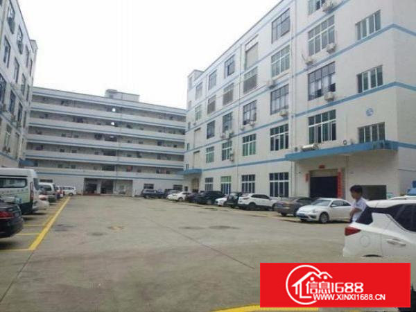 龙岗同乐原房东楼上整层1200平出租，白菜价15元