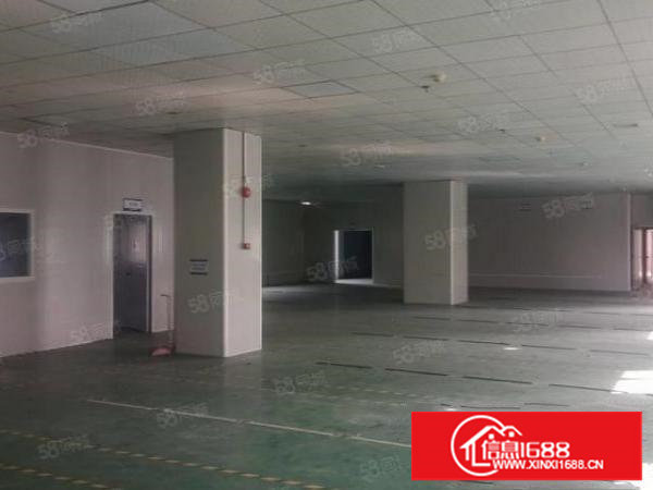 长安乌沙新出1200平方无尘车间装修厂房出租，水电齐全