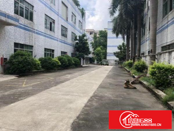 荷坳地铁站附近独院厂房实际面积出租空地大形象好有装修