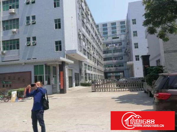 大浪鹊山路口佳丽工业区新出三楼560平带装修厂房招租