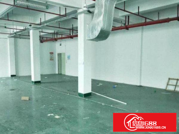 惠州新墟新空出标准2楼750平厂房出租带豪华装修