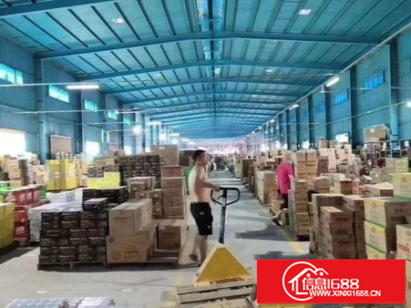 坂田布吉钢构铁皮房层高8米