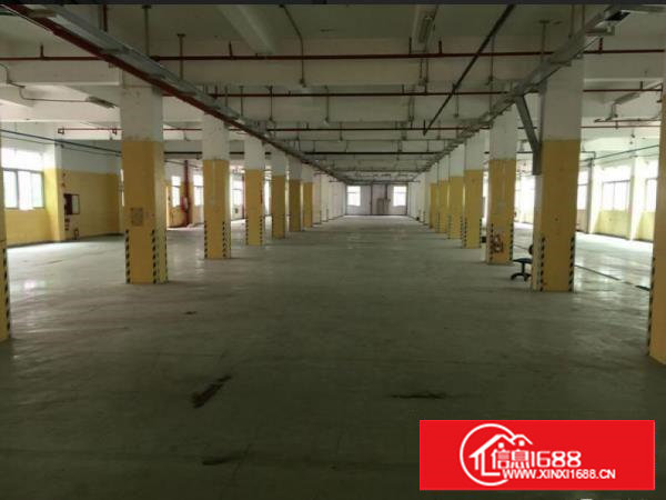 塘厦原房东独门独院2800平厂房带消防喷淋无公摊