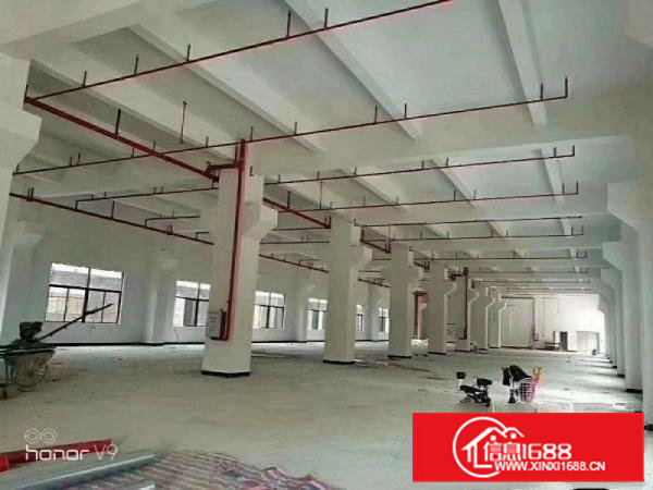 全新配电超大一楼厂房）凤岗2500平方米厂房出租