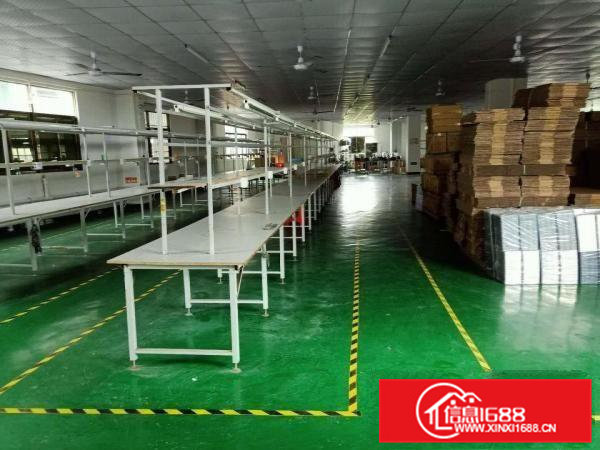 出租大岭山镇大岭山厂房分租非中介