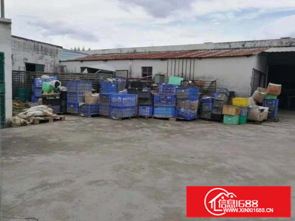 惠东县白花镇省道边2000平米独院铁皮房出租