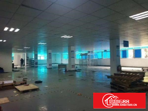带装修厂房整层1800平米招租