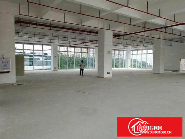 大岭山鸡翅岭村独栋厂房700平出租原房东有红本