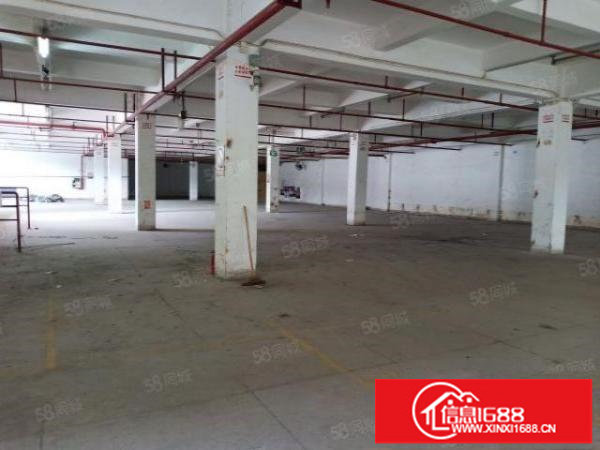 龙岗坂田新空出红本厂房42000平，大小可分租