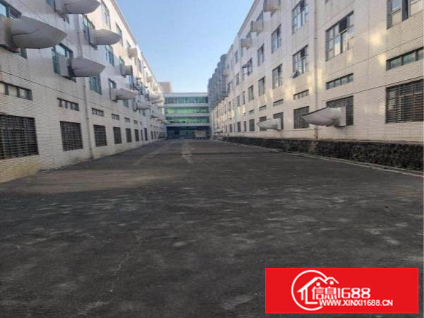 独门独院厂房6000平米