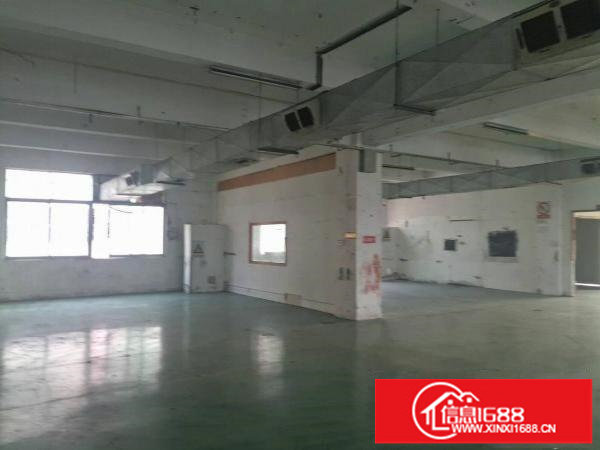 四联100平方起租精装修厂房