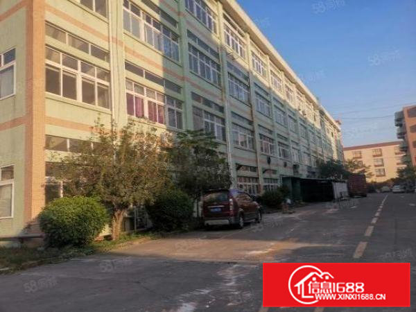 茶山镇南社新出标准厂房一楼整层3000平花园式大空地带红本