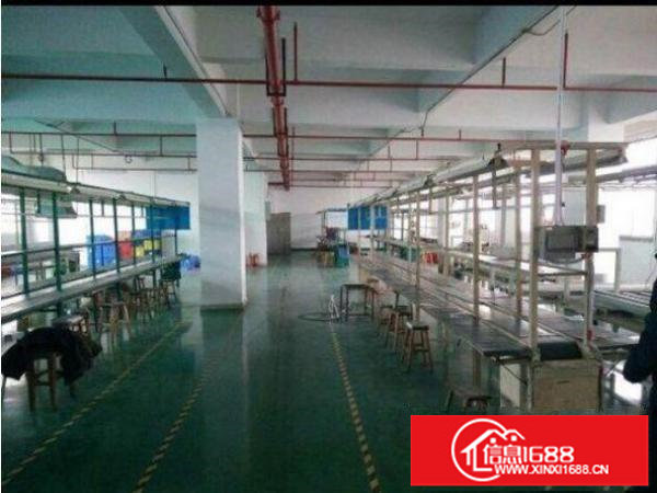 龙岗区龙岗大道空出一楼厂房1300平米带装修出租