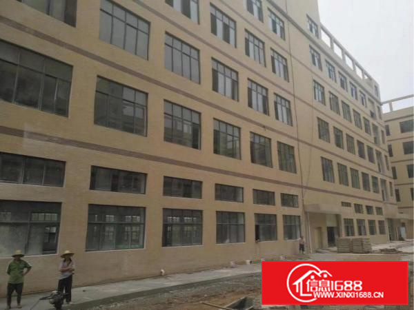 镇隆全新高新科技园招租、证件齐全!