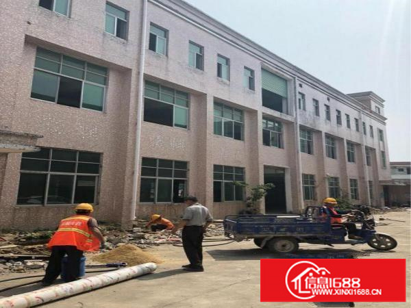 碧岭9成新独院厂房1;2楼各1400平出租可分租