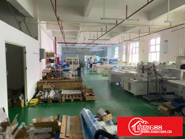 沙井东环路300平厂房出租