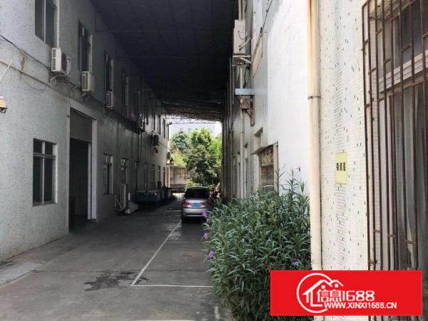 虎门赤岗两层独院800平米出租！