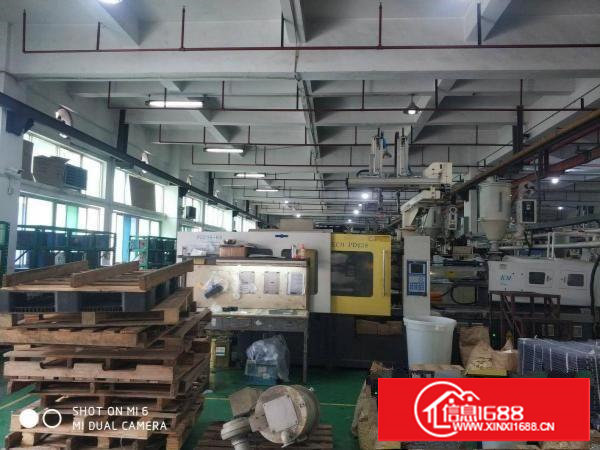 沿江高速长安厦岗原房东1500平厂房出租可分租不堵车