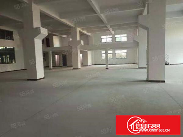 塘厦新出全新整栋厂房3900平方出租，原房东直租