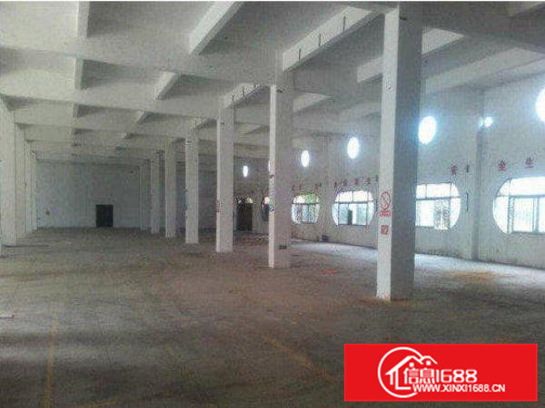 企石深巷新出一楼1500平标准厂房招租