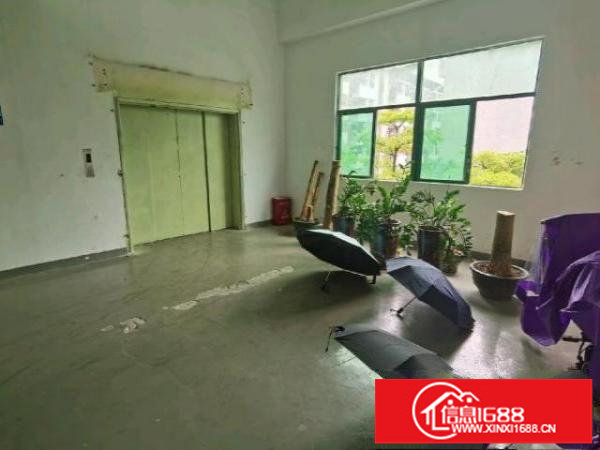 颐丰华创新产业高新园区，带红本！