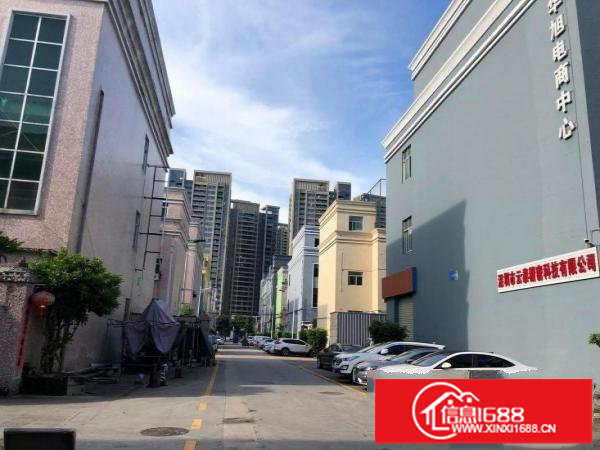 坪山中心区新出一楼600平办公研发厂房