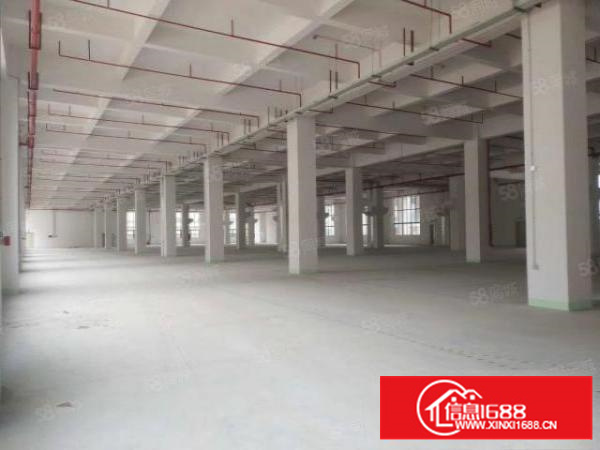 万江新出标准厂房1出租