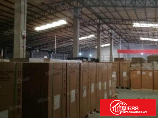 坂田南坑1225，4650平单一层钢构厂房