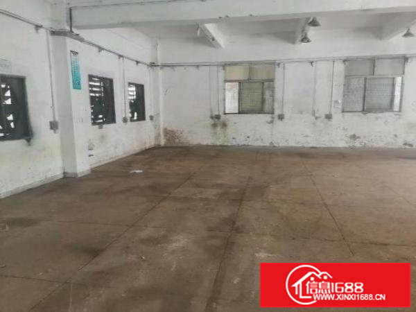 沙浦围稀缺一楼小面积厂房