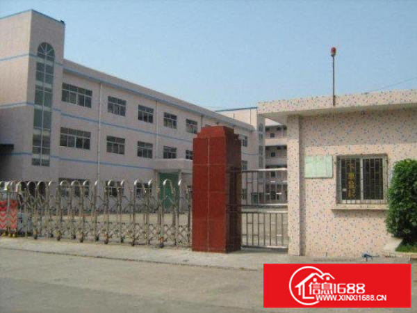 横沥镇标准独门独院