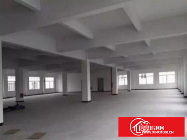 万江带现成装修标准一楼600或1000平方招租现成水电，宿舍