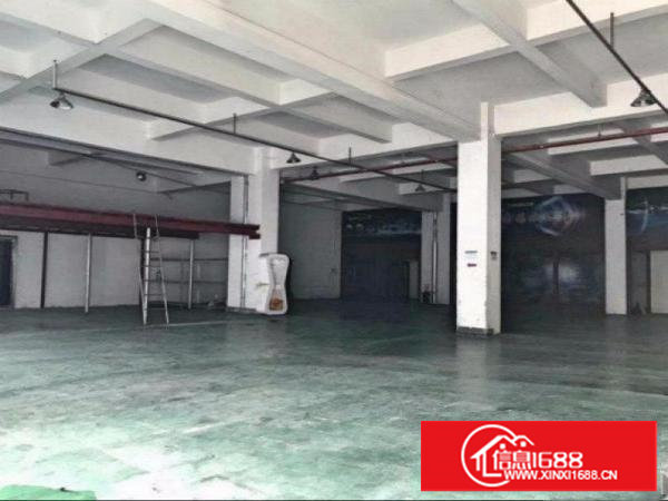 ~合同期长,沙湖临深区1000平米标准一楼厂房,重工业~