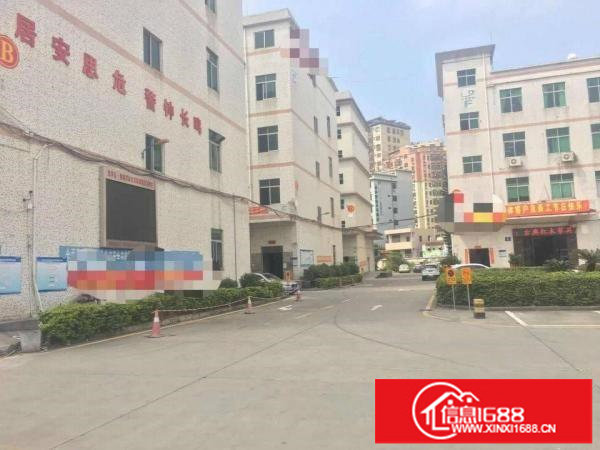 平湖良安田富民工业区原房东1500平方1楼高度5米