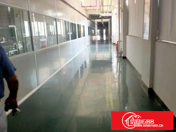 寮步镇新出原房东3层22000平方形象超好