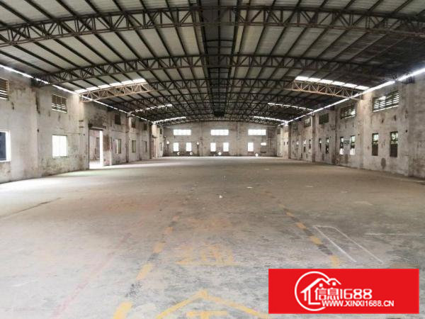 石排原房东独院6000平方米单一层钢构厂房急租