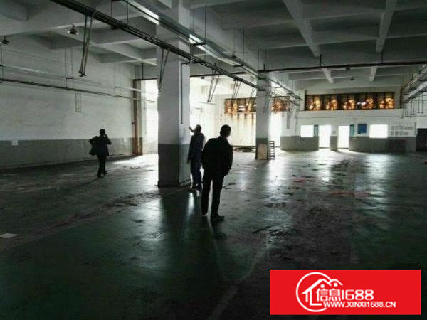 凤岗金凤凰超靓独院三层厂房5000平米招租