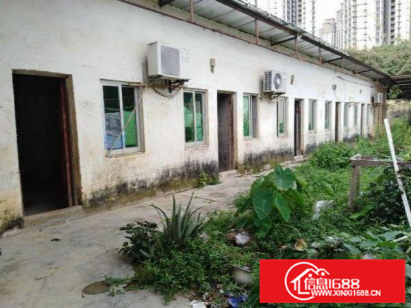 秋长独门独院4000平标准厂房整租送400平钢构