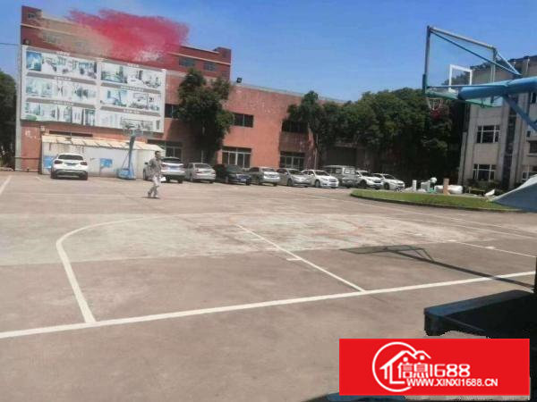 原房东单一层2000平砖墙独院厂房出租大空地滴水7米