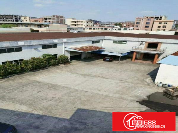 横沥镇独院厂房面积空地面积超大500平方靠近模具城滴水八米