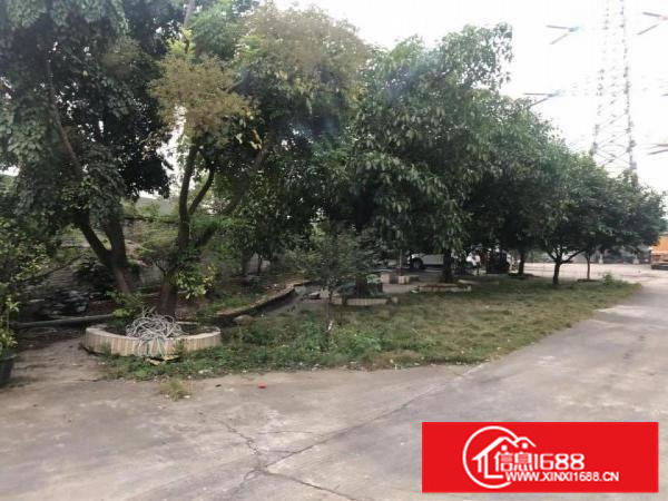 狮山新放独院形象厂房