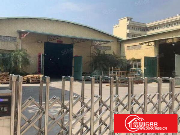 茶山新出原房东单一层2200平方出租，无公摊，租金便宜