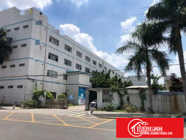 坑梓秀新新出原房东独院2万平方精装修厂房出租,合同10年