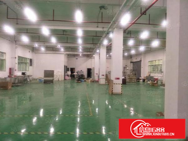 大岭山全新标准一楼厂房出租